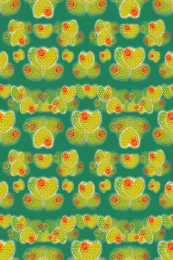 646718-10154ztkf 巴西（童装）2