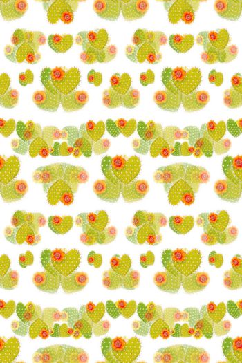 646719-10154ztkf 巴西（童装）2