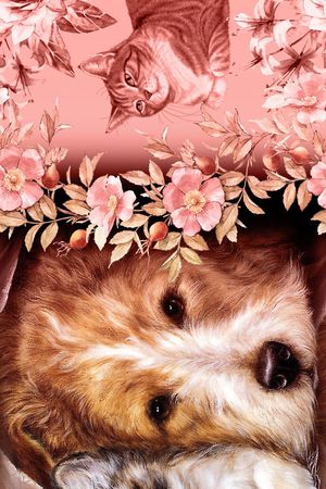 大花印花华亿平台图片