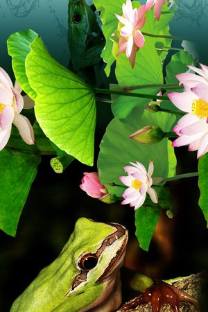 大花印花华亿平台图片