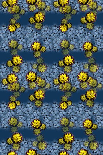 646863-10171ztkf 巴西（男装）2