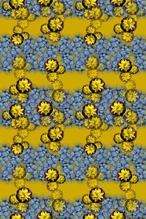 多肉植物印花华亿平台图片