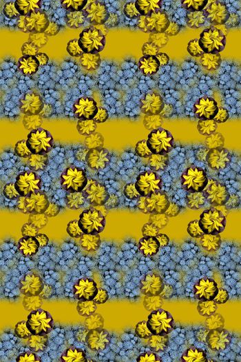 646864-10171ztkf 巴西（男装）2