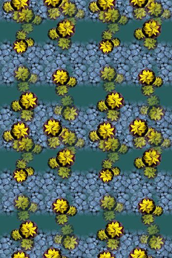 646865-10171ztkf 巴西（男装）2