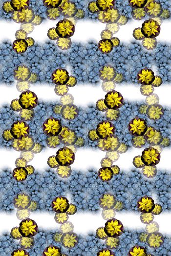 646866-10171ztkf 巴西（男装）2