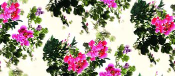 国画印花华亿平台图片