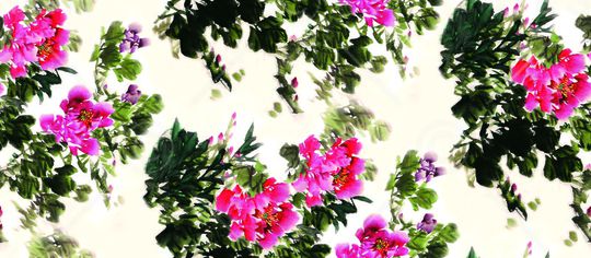 国画印花华亿平台图片