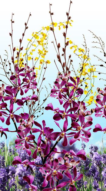 实体印花华亿平台图片