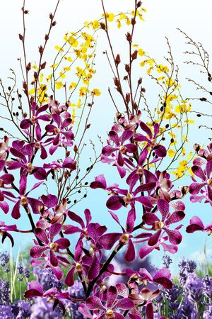 实体印花华亿平台图片