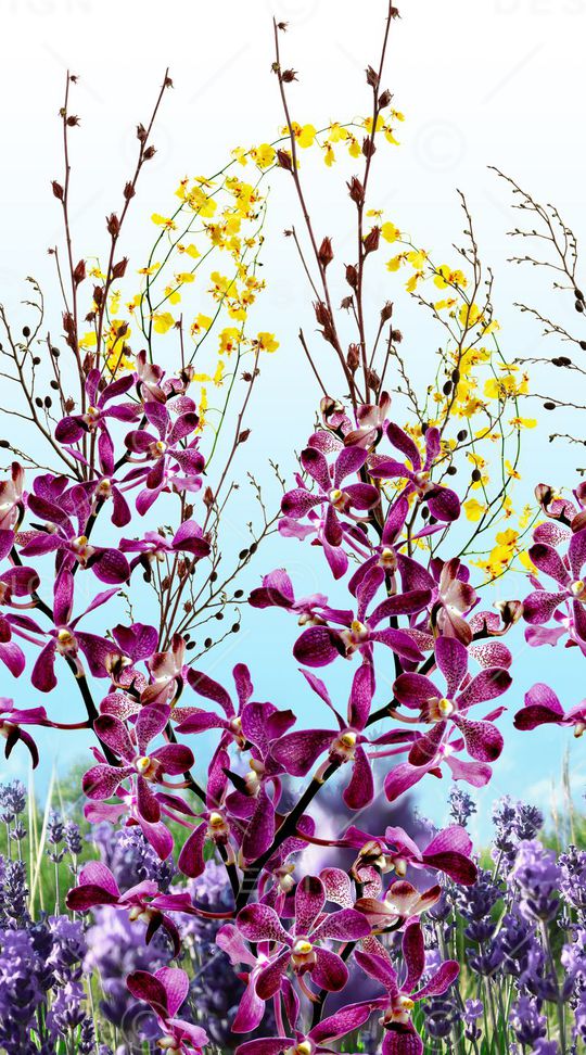 实体印花华亿平台图片