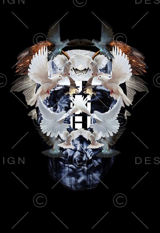 动物印花华亿平台图片