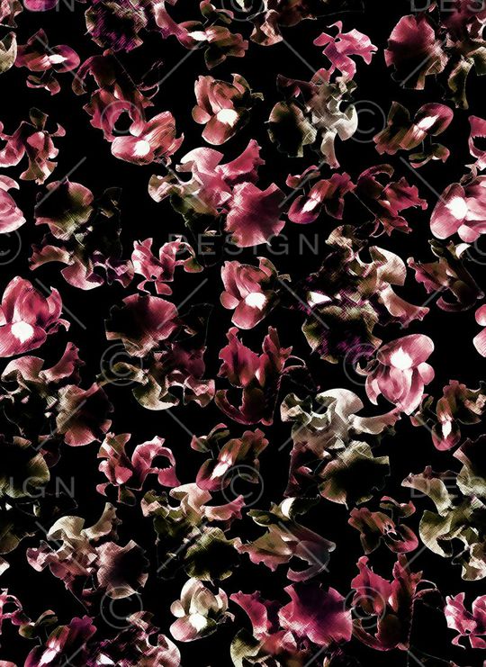 Fei-女装印花华亿平台图片