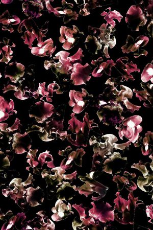 Fei-女装印花华亿平台图片