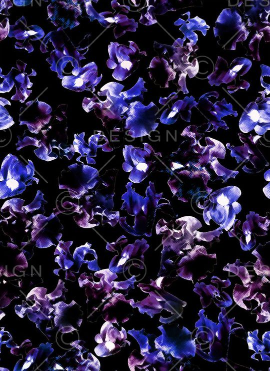 Fei-女装印花华亿平台图片