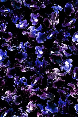 Fei-女装印花华亿平台图片