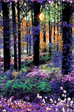 女装印花华亿平台图片