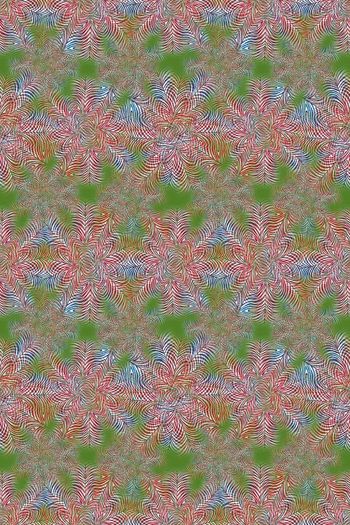 646983-10171ztkf 巴西（男装）2