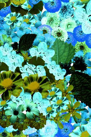 时尚花卉印花华亿平台图片