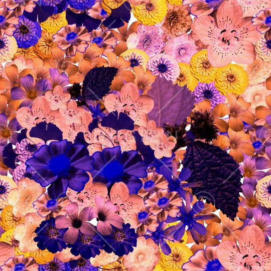 时尚花卉印花华亿平台图片