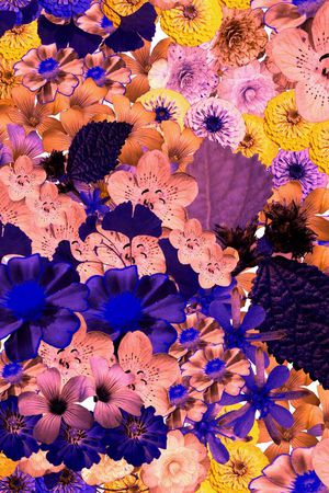 时尚花卉印花华亿平台图片