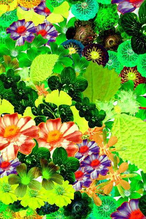 时尚花卉印花华亿平台图片