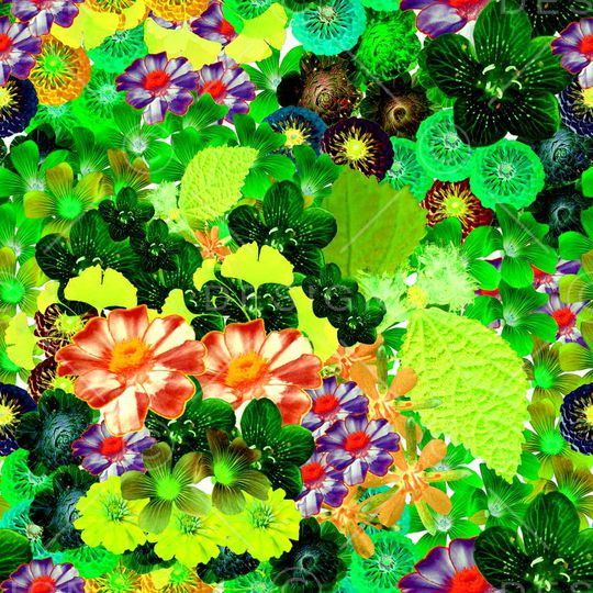 时尚花卉印花华亿平台图片