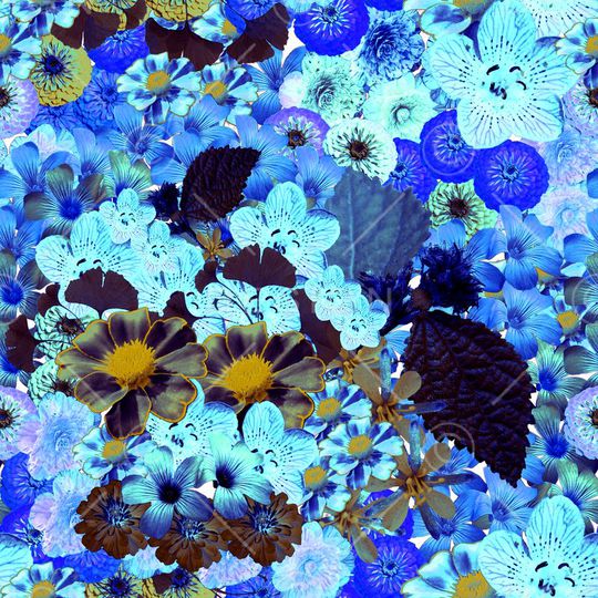 时尚花卉印花华亿平台图片