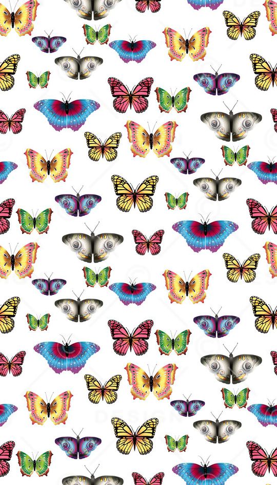 动物、昆虫、蝴蝶印花华亿平台图片