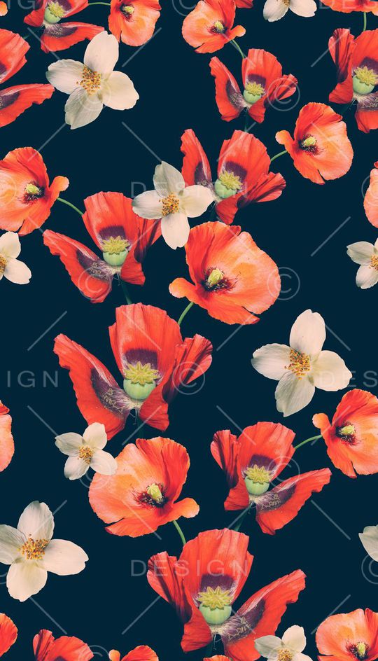 花卉、罂粟、深底印花华亿平台图片