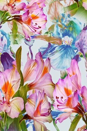 花朵印花华亿平台图片