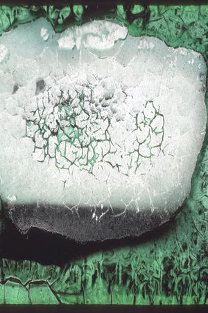 纹理印花华亿平台图片