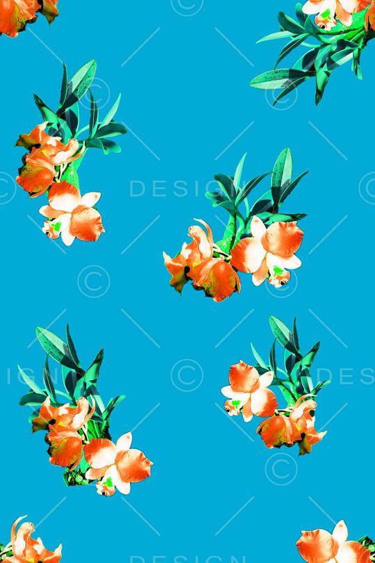 女装印花华亿平台图片