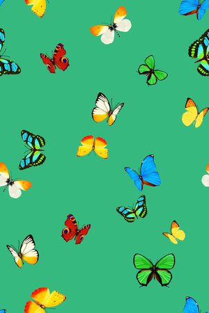 蝴蝶印花华亿平台图片