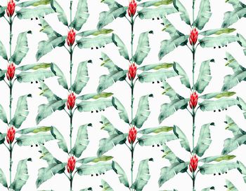 647389-0610热带植物（白底）