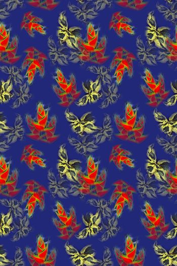 647401-10108ztkf 巴西（泳装）2