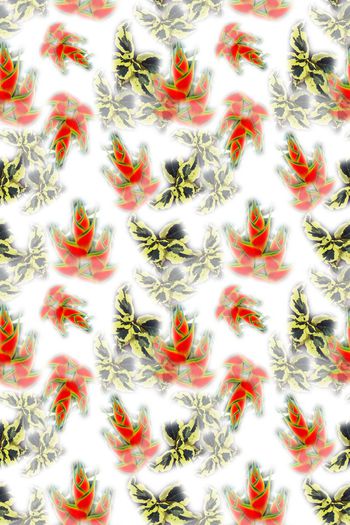 647402-10108ztkf 巴西（泳装）2