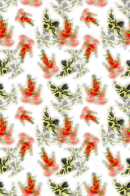 多色印花华亿平台图片