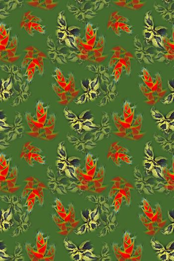 647403-10108ztkf 巴西（泳装）2