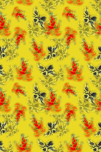 647404-10108ztkf 巴西（泳装）2