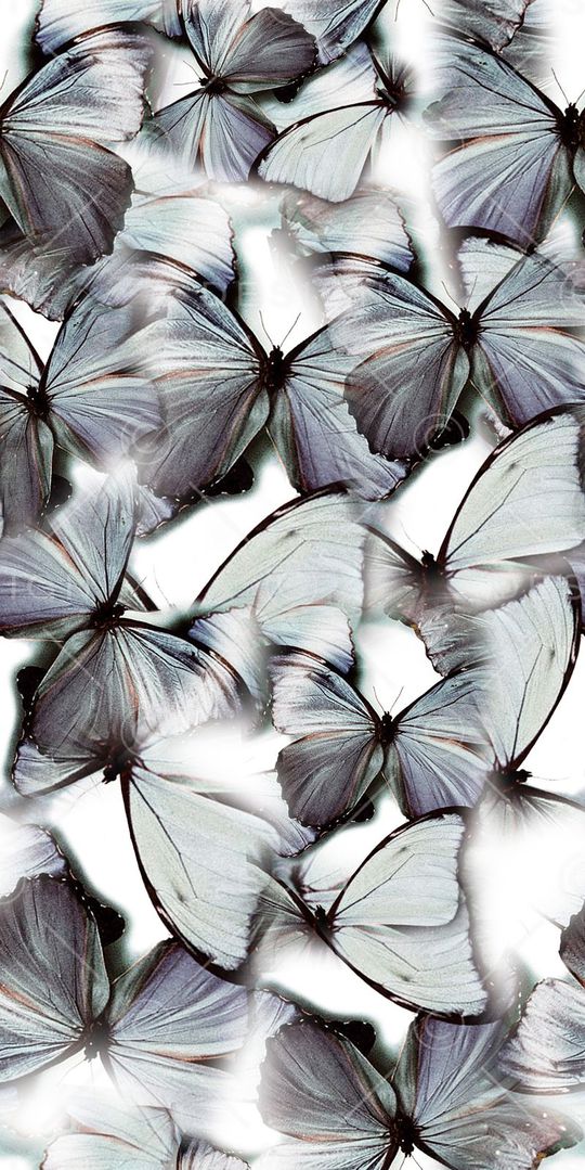 满版印花华亿平台图片