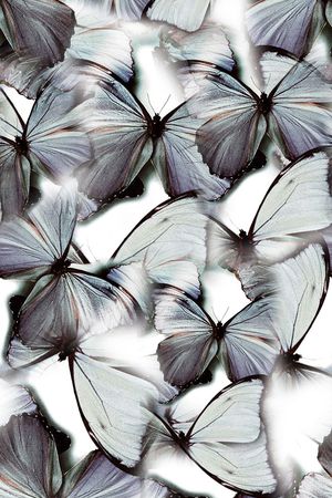 满版印花华亿平台图片