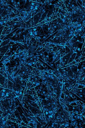 树枝印花华亿平台图片