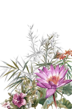 经典印花华亿平台图片