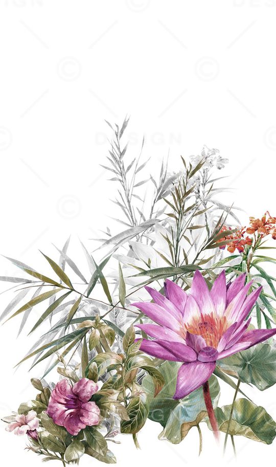 经典印花华亿平台图片