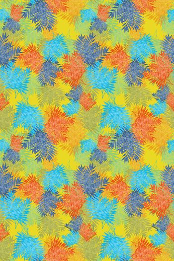 647491-10171ztkf 巴西（男装）2