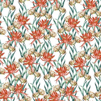 647501-仙人掌花红白