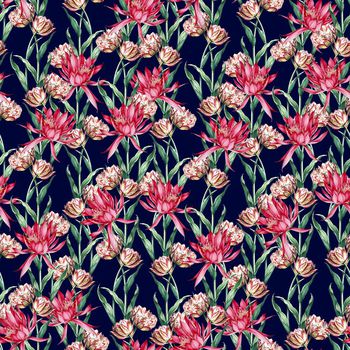 647502-仙人掌花蓝