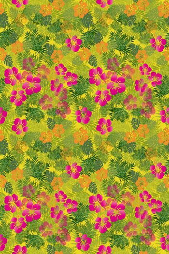 647509-10154ztkf 巴西（童装）2