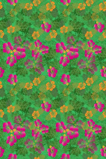 647510-10154ztkf 巴西（童装）2