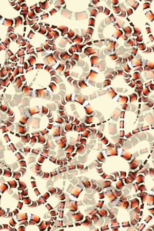 女装印花华亿平台图片